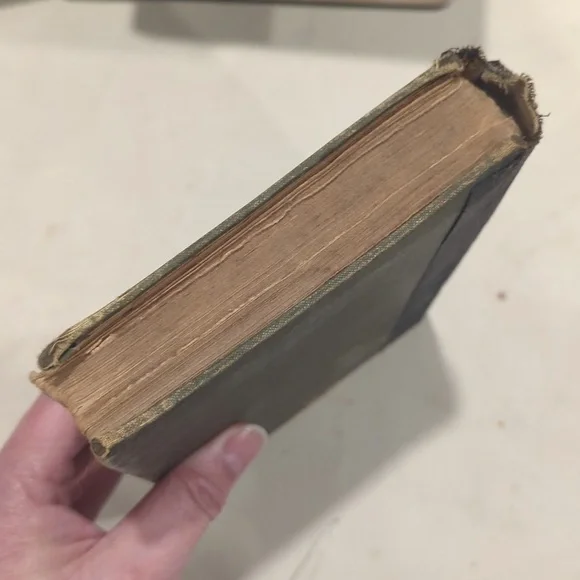 1910 "The Second Chance" By Nellie McClung - Picture 10 of 12